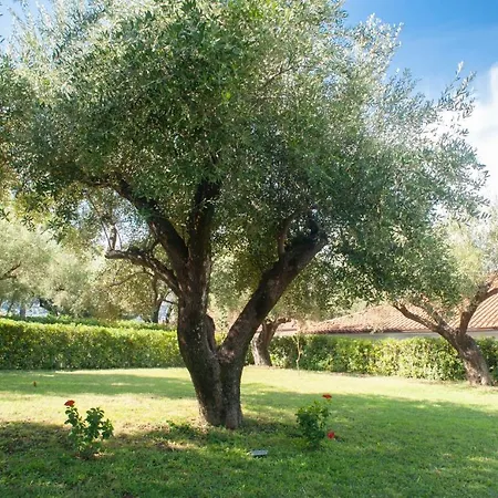 Casa Vacanze Fronte * Palinuro